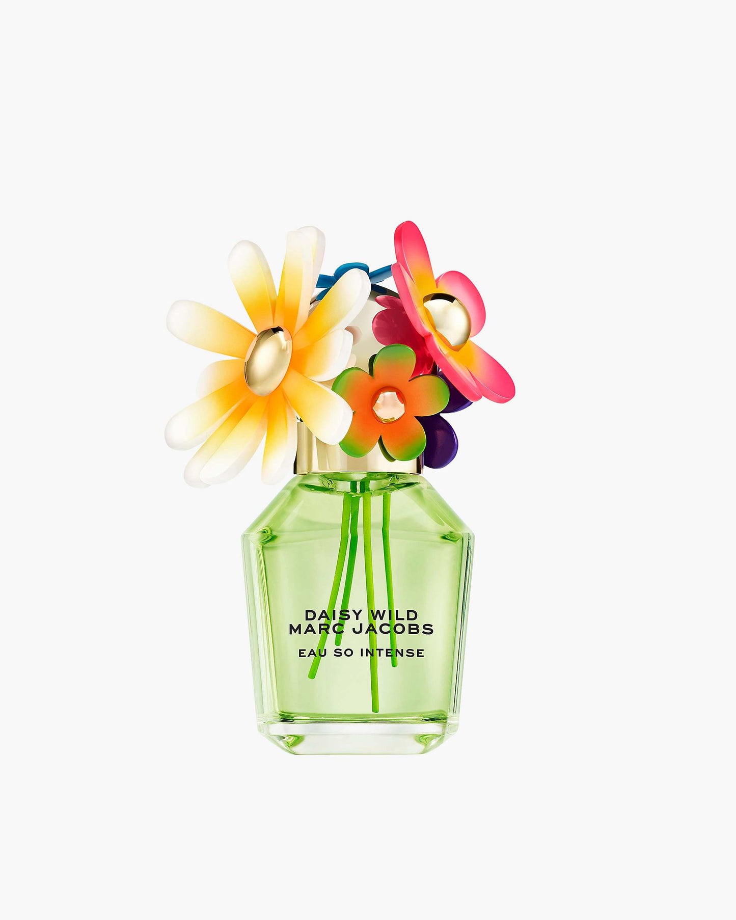 Daisy Wild Intense Eau De Parfum 50 mL