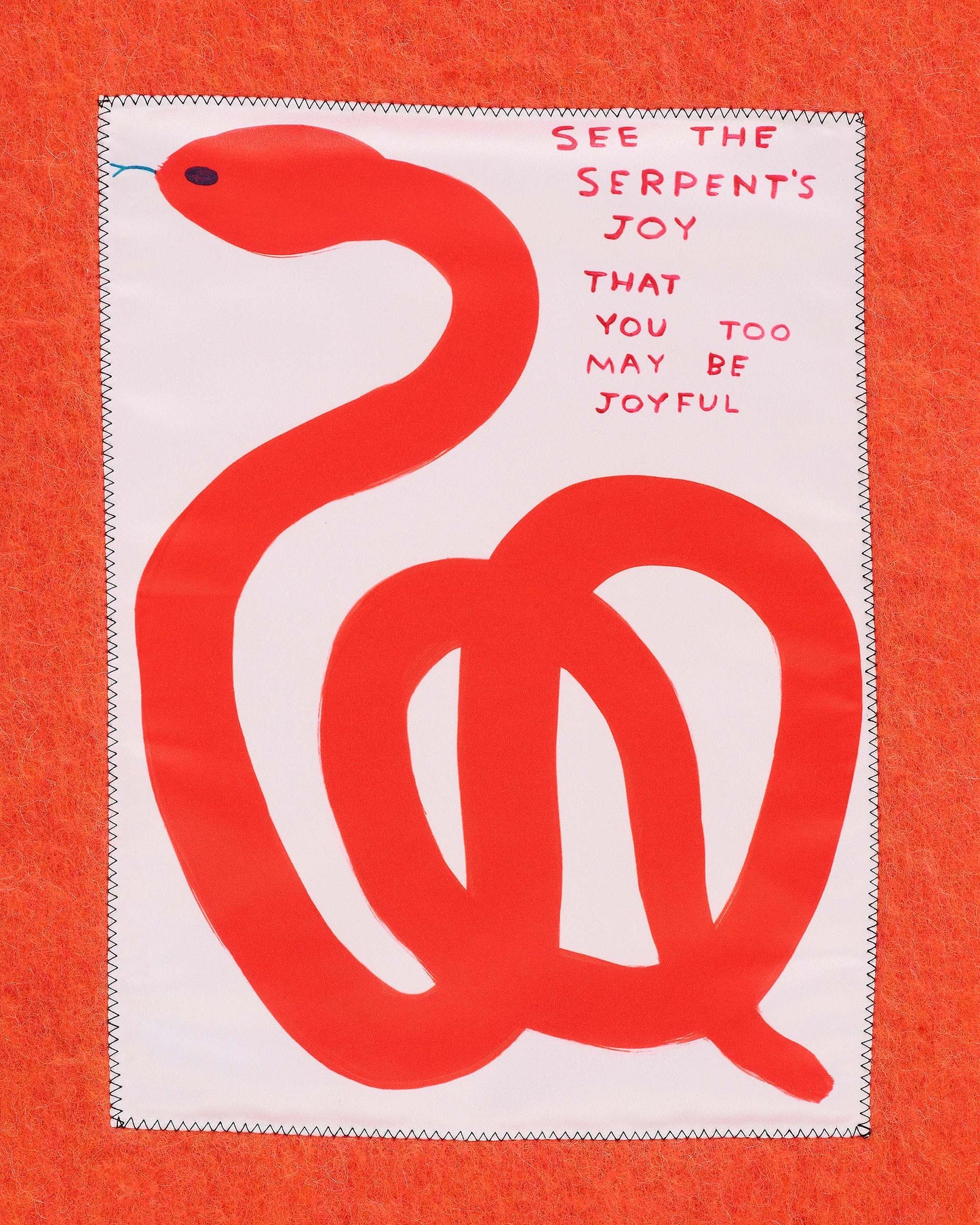 David Shrigley X MJ Snake Wool Scarf